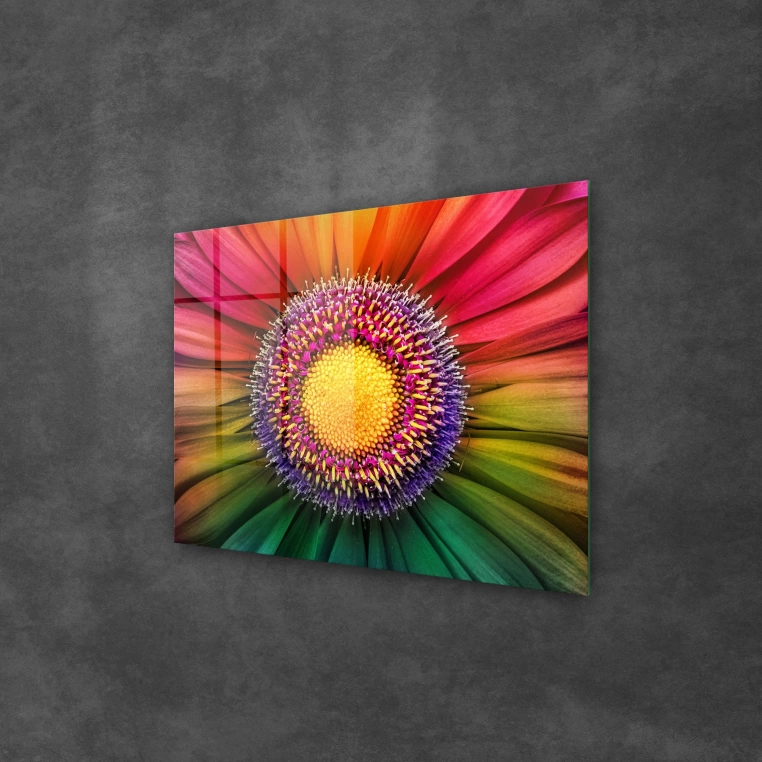 Decovetro Cam Tablo Gökkuşağı Papatya 70x100 cm