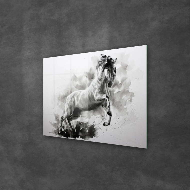 Decovetro Cam Tablo Siyah Beyaz At 70x100 cm