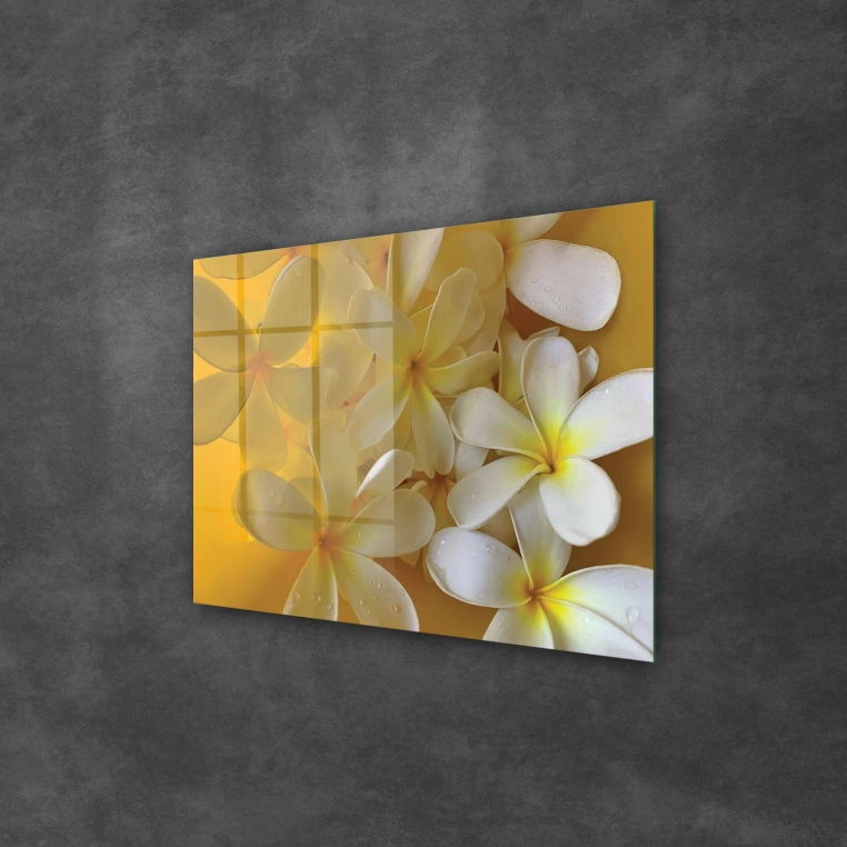 Decovetro Cam Tablo White Lily Desenli 70x100 cm