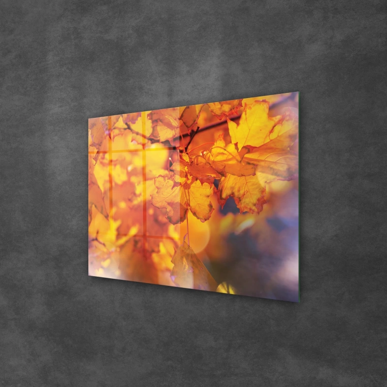 Decovetro Cam Tablo TBY-4233 - 50x70 cm