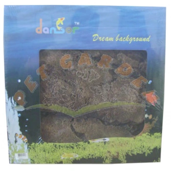 Dansör Ağaç Köklü Arka Fon