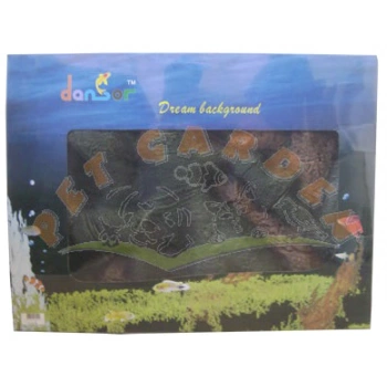 Dansör Ağaç Köklü Arka Fon