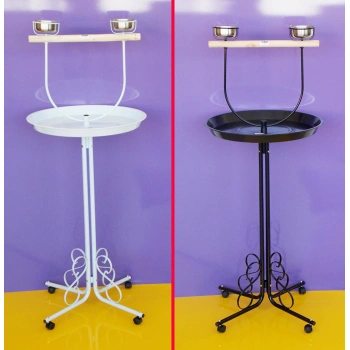 Dayang Papağan Eğitim Sehbası   56x138