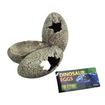 Dinazor Yumurtası Süs
