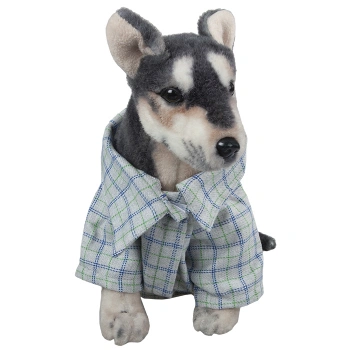 Köpek Penye Gömlek No:3