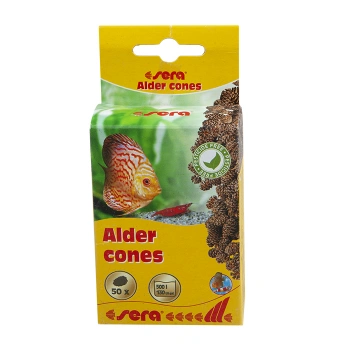 Sera Kızılağaç Kozalağı (50 Adet)