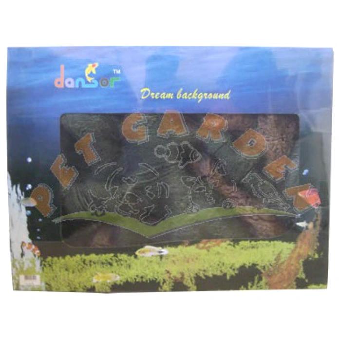 Dansör Ağaç Köklü Arka Fon