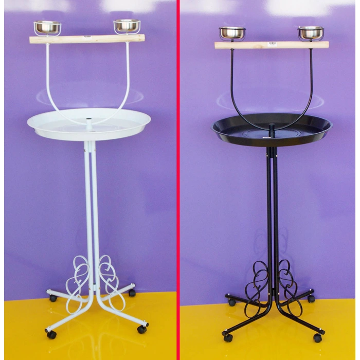 Dayang Papağan Eğitim Sehbası   56x138