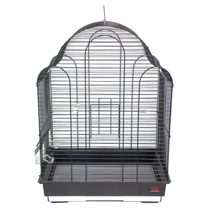 Dayang Papağan Kafesi Renkli 42x30x57