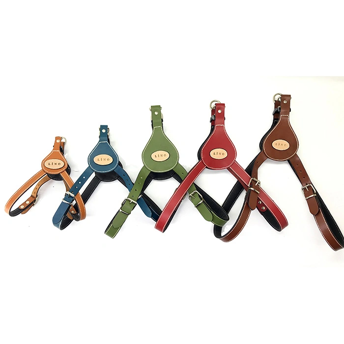 DLA-XL Damla Deri Belden Göğüsten Bağlama