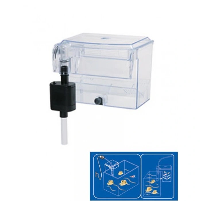 Dophin Yavruluk Motorlu