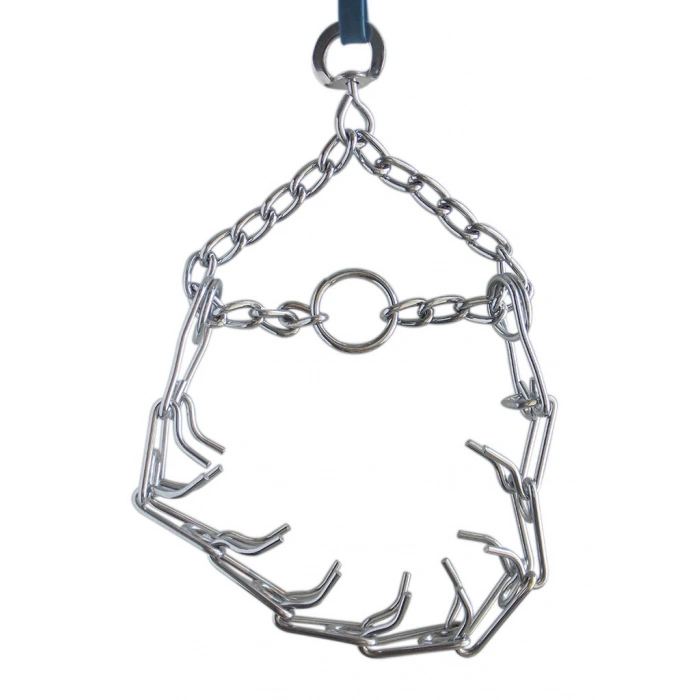 Eastland Eğitim Tasması S