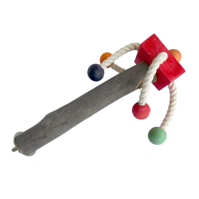 Eastland Papağan Tüneği Orta