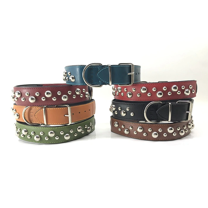 L-9923 Aksesuarlı Deri Boyun Tasması