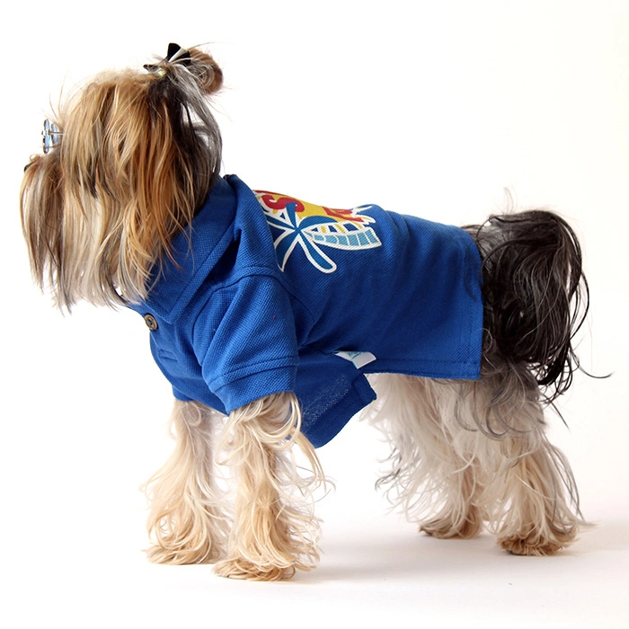 Lacoste tshirt (Sun&amp;Fun) mavi - 5li set