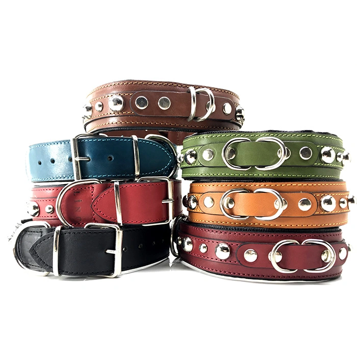 M-9912 Çift Halkalı Aksesuarlı Deri Boyun Tasması