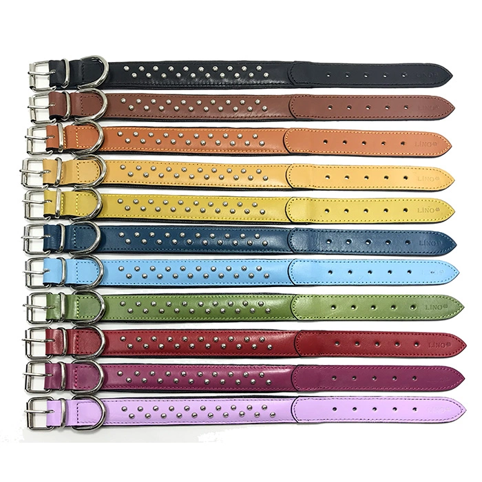 M-Dak3002 Aksesuarlı Deri Boyun Tasması