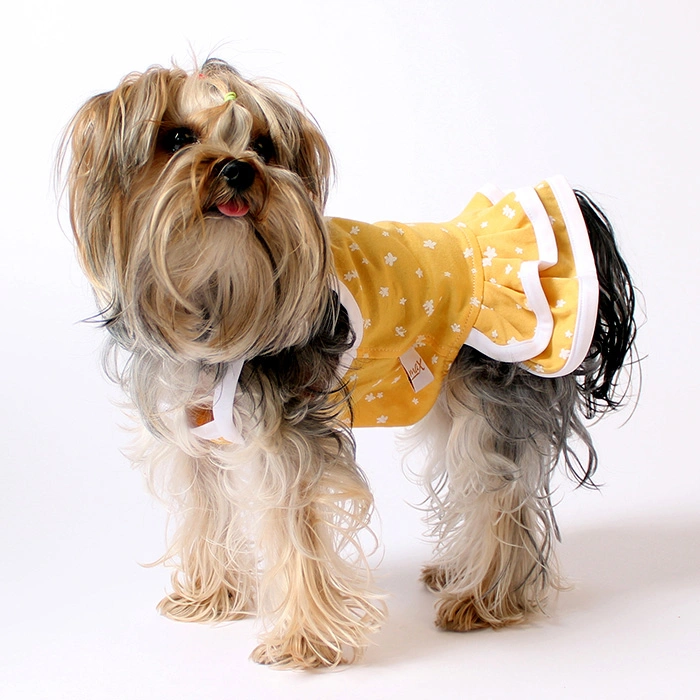 Piti Çiçekli Elbise - Sarı 6lı Set