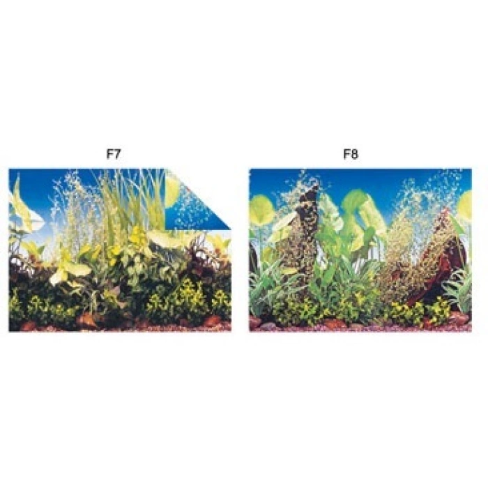 Pls.poster 30 Cm 15 Mt