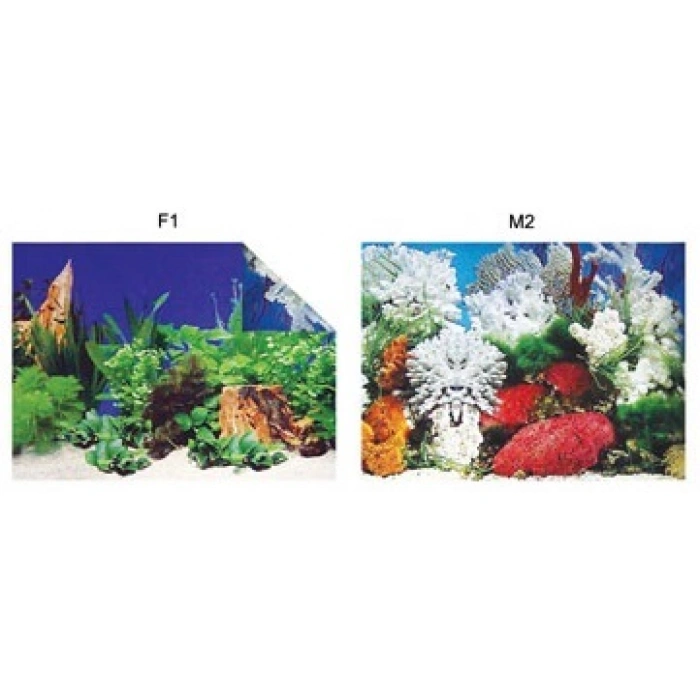 Pls.poster 48 Cm 15 Mt