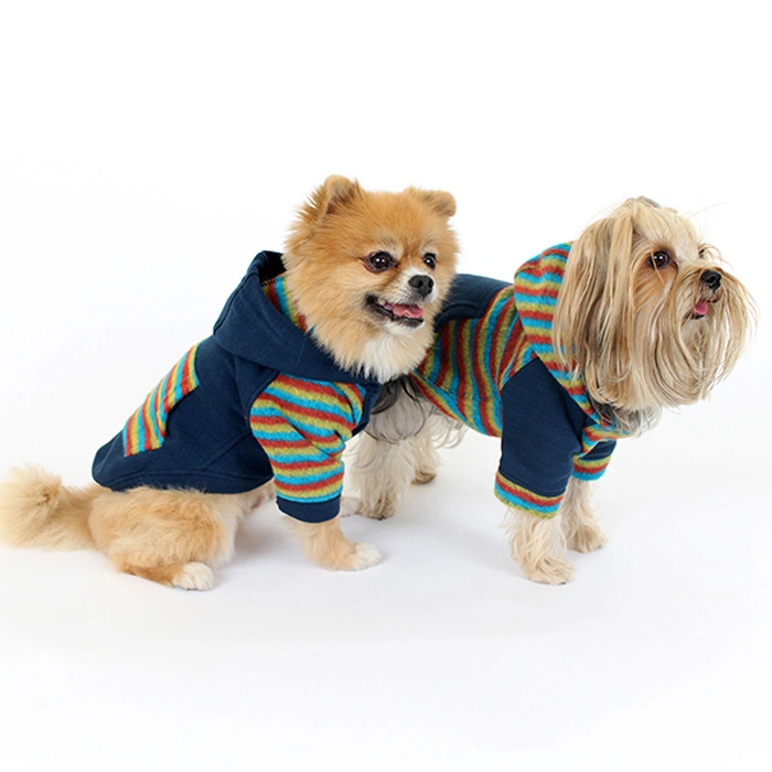 Rainbow Çizgili Kapüşonlu Sweatshirt - Renkli S,M,