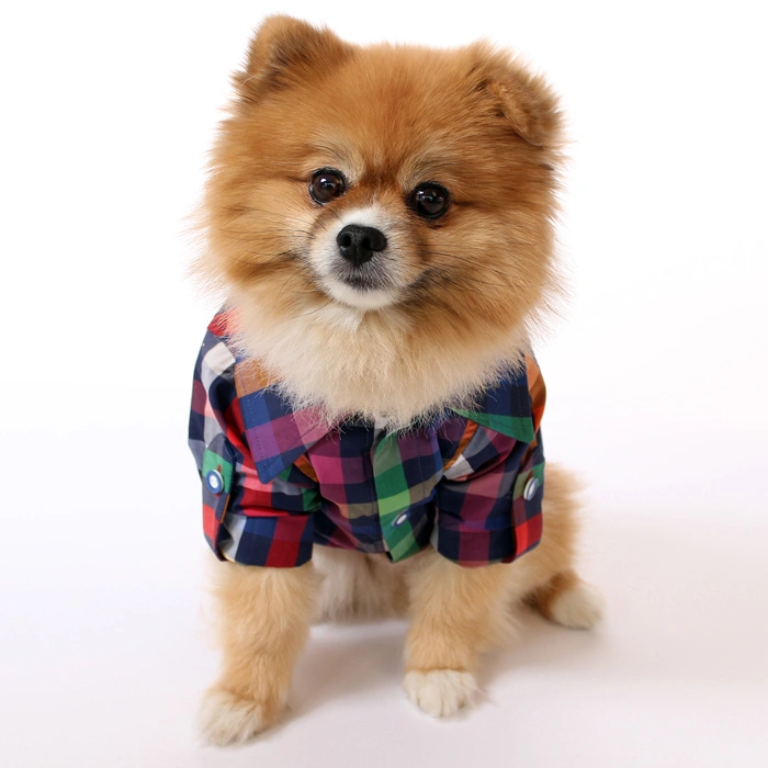 Renkli Ekose Gömlek S,M,L,XL,XXL 5li Set