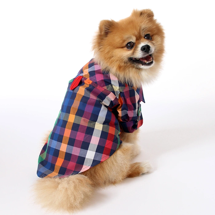 Renkli Ekose Gömlek S,M,L,XL,XXL 5li Set