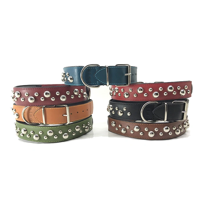 S-9921 Aksesuarlı Deri Boyun Tasması