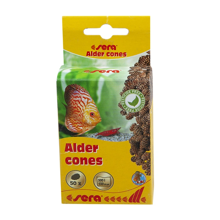 Sera Kızılağaç Kozalağı (50 Adet)