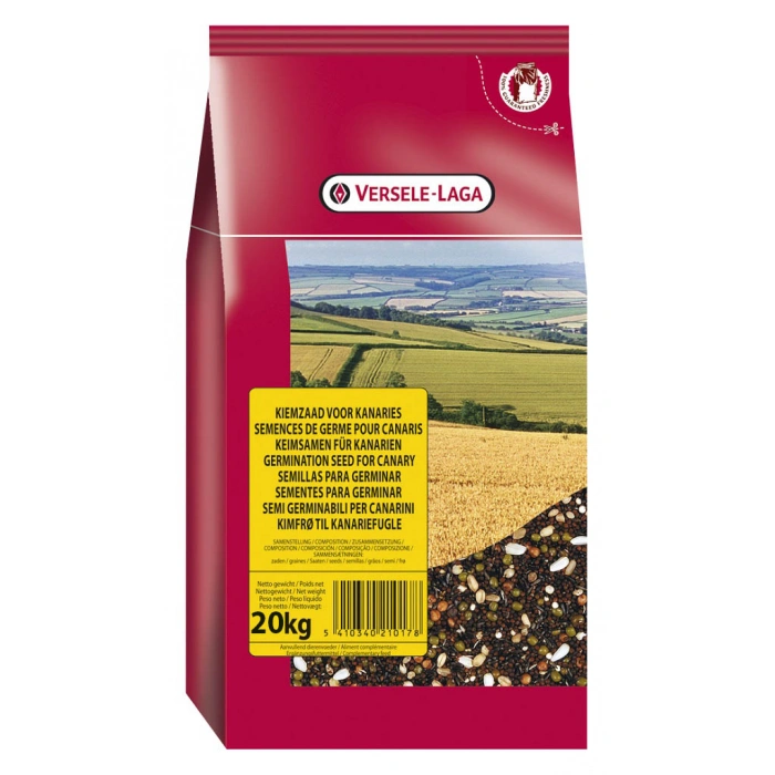 Verselelaga Kanarya Çimlendirme Tohumu 20 Kg