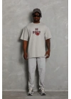 Erkek Baskılı T-Shirt Kısa Kol Bisiklet Yaka Regular Fit Tişört - Gri