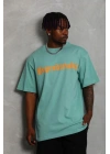Erkek Baskılı T-Shirt Kısa Kol Bisiklet Yaka Regular Fit Tişört - Mint Yeşili