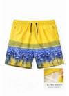 Erkek Deniz Şortu Fermuarlı Cepli File Astarlı Hızlı Kuruyan Premium - Sarı