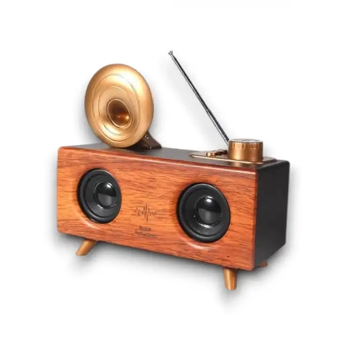 B6 SPEAKER HOPARLÖR