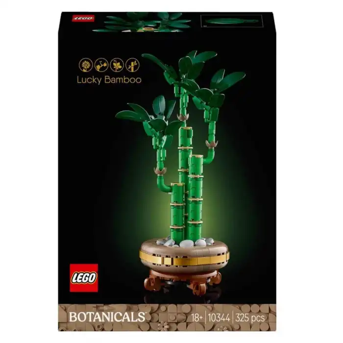 Botanicals Şans Bambusu 10344