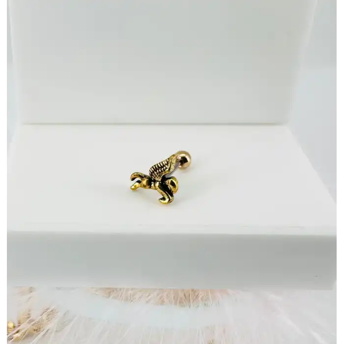 Tragus Kıkırdak Küpesi