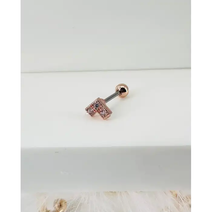 Tragus Kıkırdak Küpesi