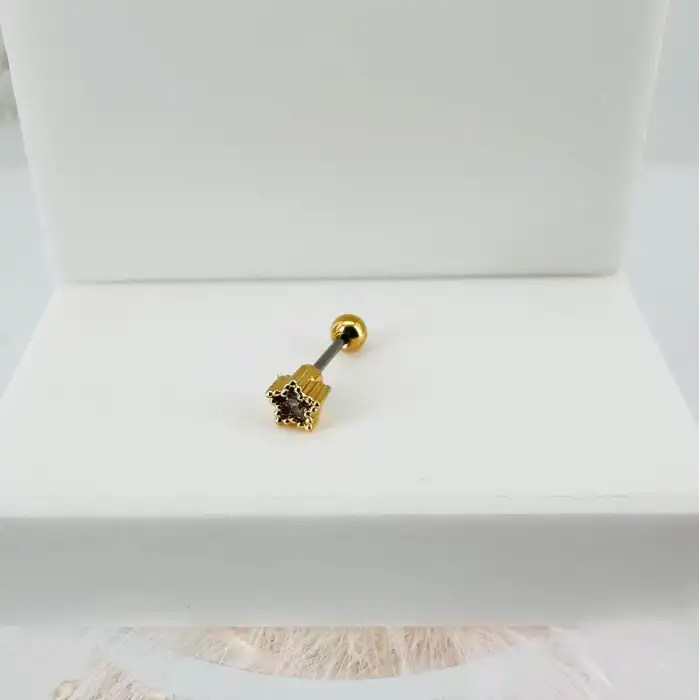 Tragus Kıkırdak Küpesi