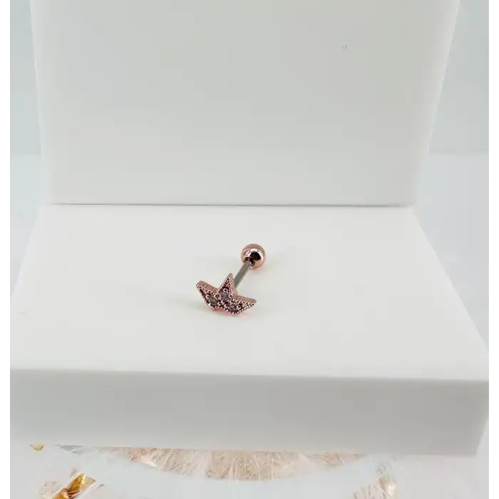 Tragus Kıkırdak Küpesi