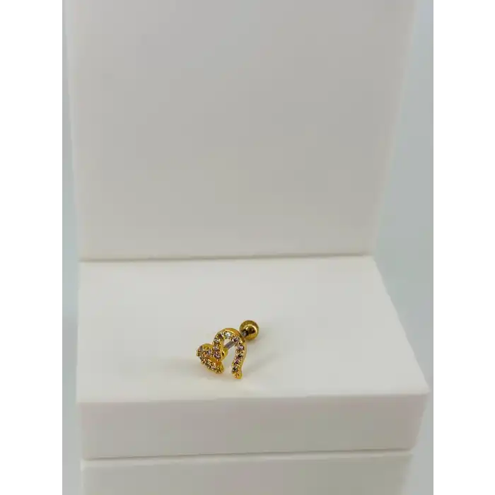 Tragus Kıkırdak Küpesi