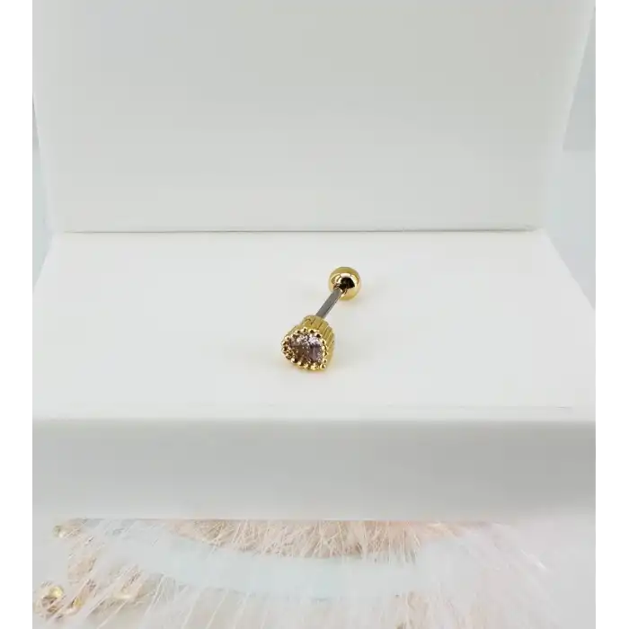 Tragus Kıkırdak Küpesi