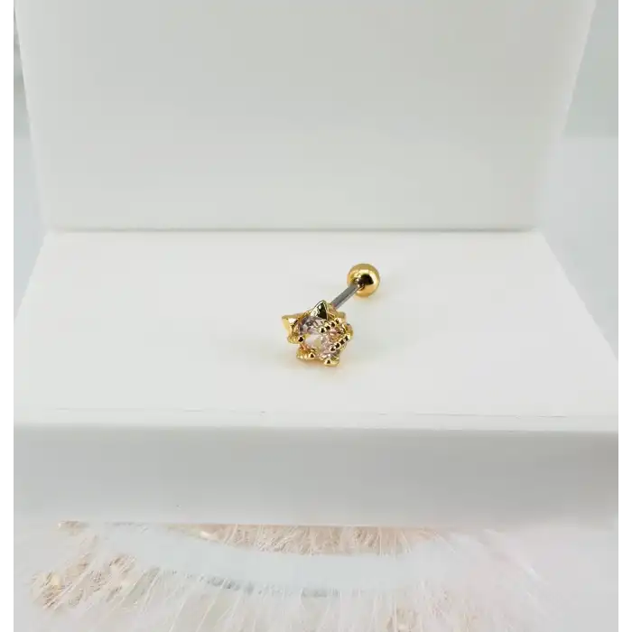 Tragus Kıkırdak Küpesi