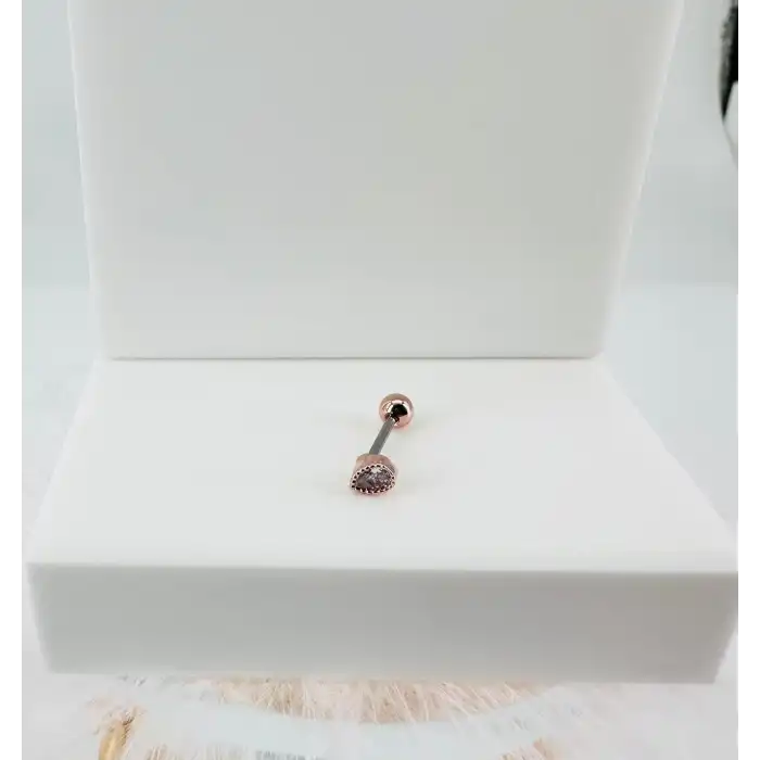 Tragus Kıkırdak Küpesi
