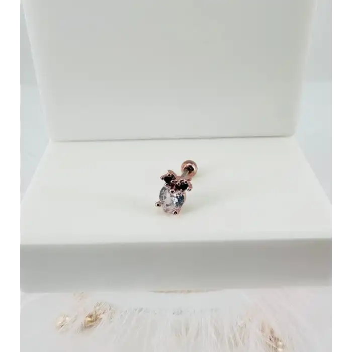 Tragus Kıkırdak Küpesi