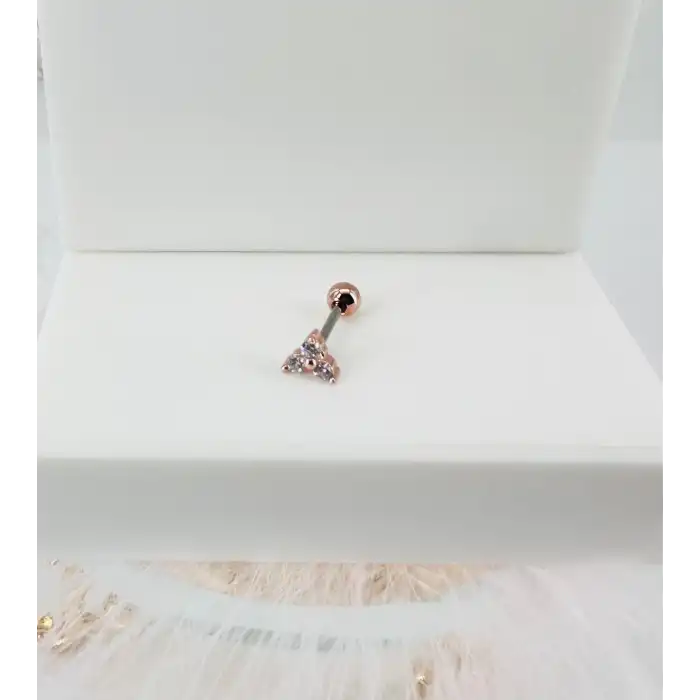 Tragus Kıkırdak Küpesi