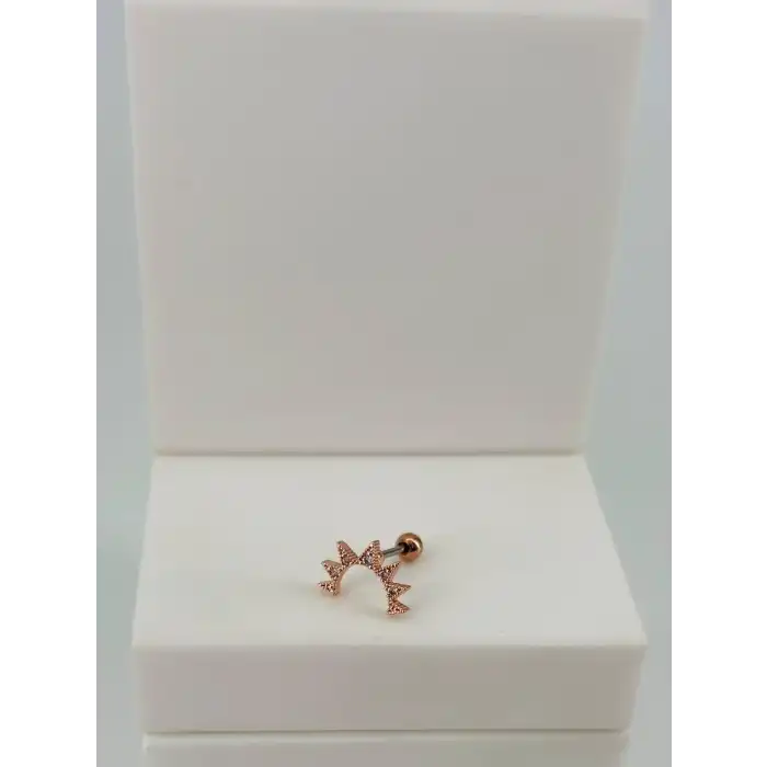 Tragus Kıkırdak Küpesi