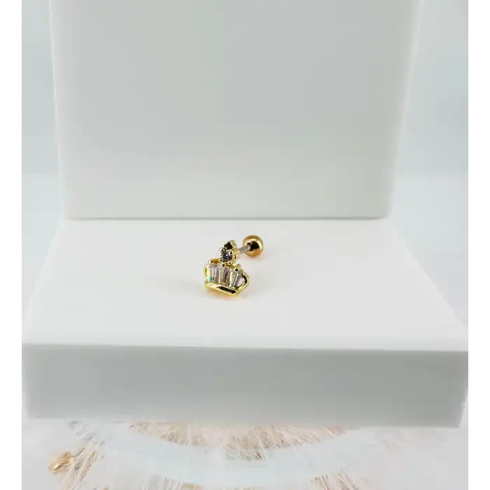 Tragus Kıkırdak Küpesi