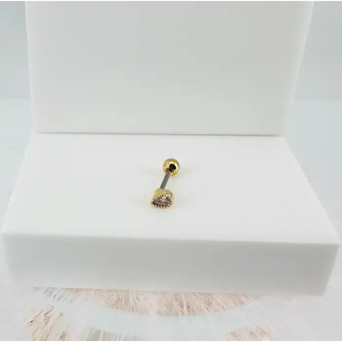 Tragus Kıkırdak Küpesi