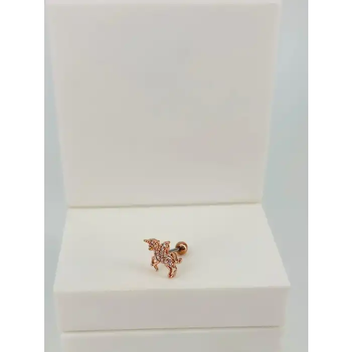 Tragus Kıkırdak Küpesi