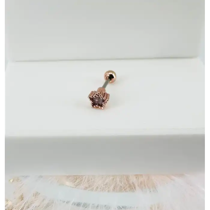 Tragus Kıkırdak Küpesi